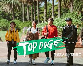 草莓app官网《TOP DOG》免费在线观看