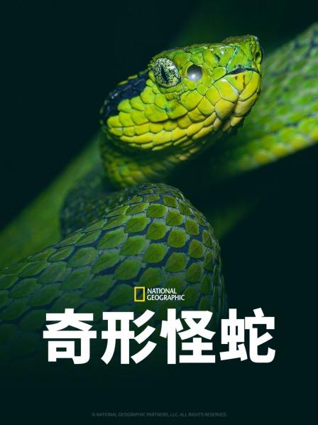 草莓传媒《奇形怪蛇》免费在线观看